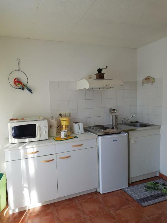 Studio Cote Sud Vert ซาร์ลา-ลา-กาเนดา ภายนอก รูปภาพ